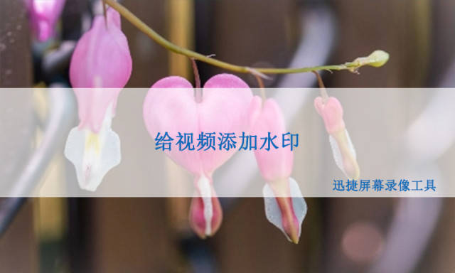 华为手机怎么添加水印
:怎么给刚剪辑好的视频添加文字水印？