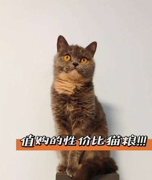 华为手机哪个拍照好又便宜
:猫粮哪个牌子好？猫粮什么牌子好又便宜？国产性价比猫粮推荐！