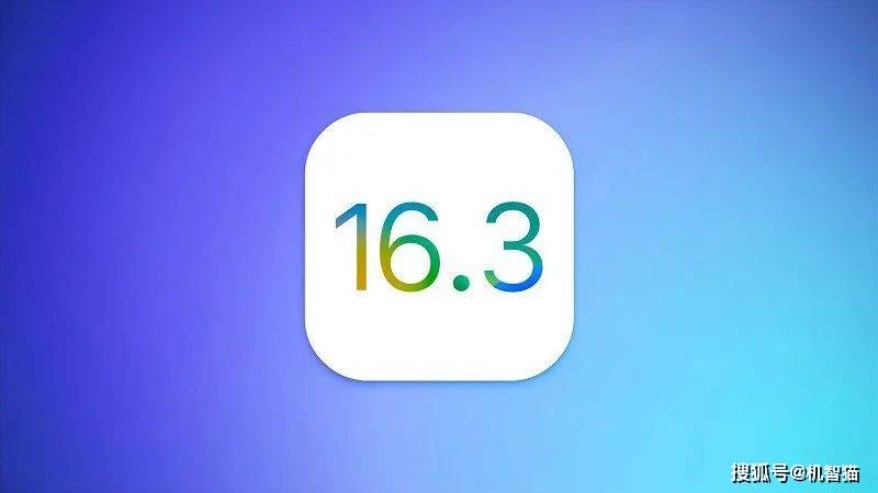 苹果12怎么改网页版密码:更新到iOS 16.3后出现大Bug，解决办法来了