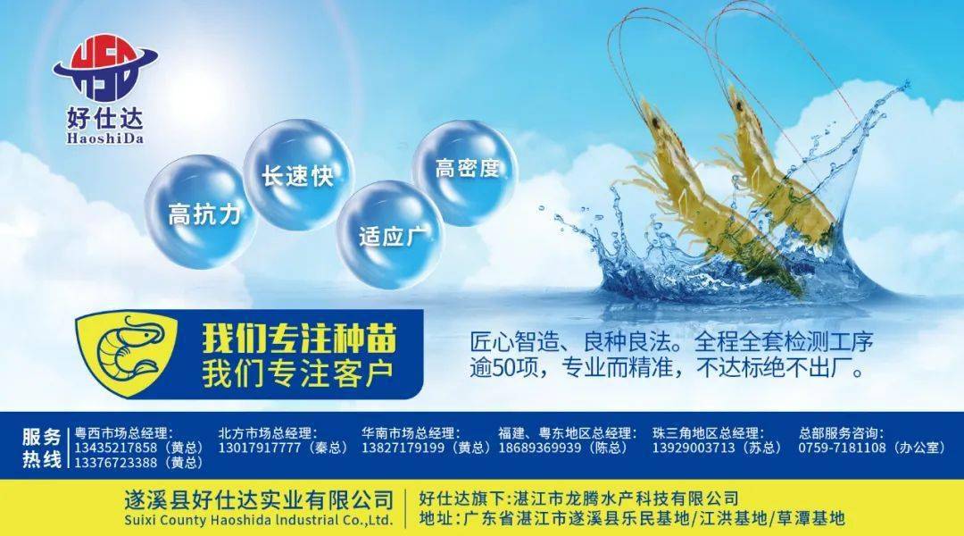 在哪买到1元1斤苹果版:最高涨1元/斤！黄鳝、泥鳅、江团、红鮰都在涨！叉尾鮰也更好卖了