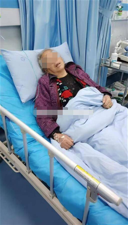 能力生成器在线下载苹果版:老太阻拦男子偷狗被推入菜地，家属：老人摔骨折，律师：盗窃行为转化为抢劫行为，处罚加重