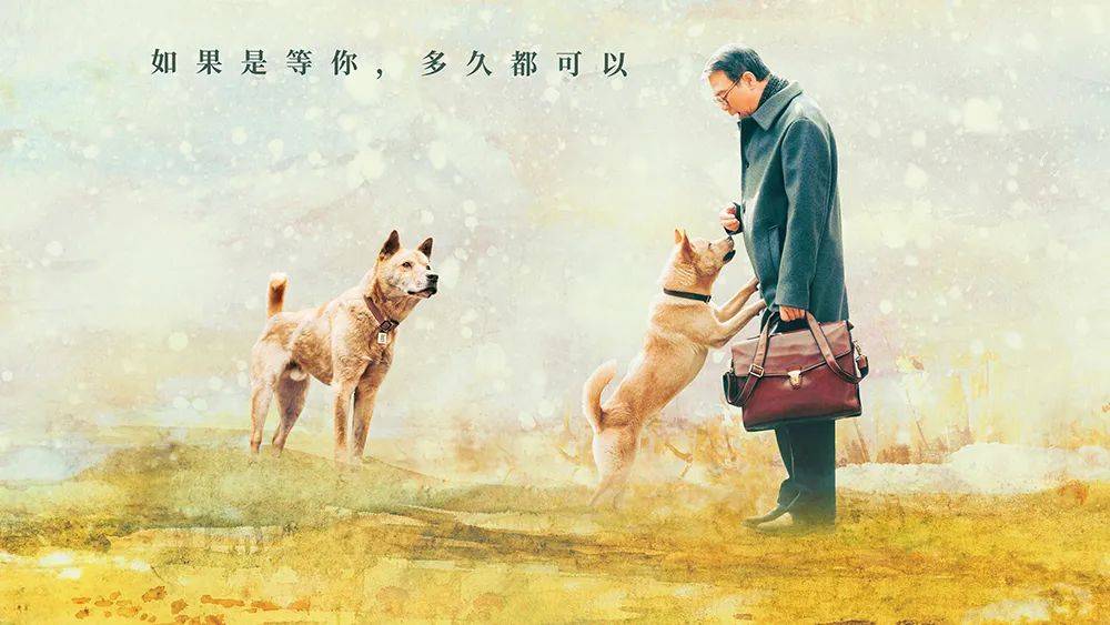 世界战争英雄苹果版
:这一次，感动全世界的狗狗是一只中华田园犬