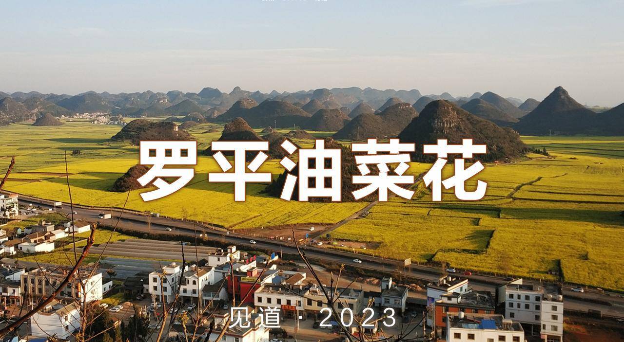 苹果7主版螺丝
:滇南之行8 - 罗平油菜花·每年最先盛开的花海