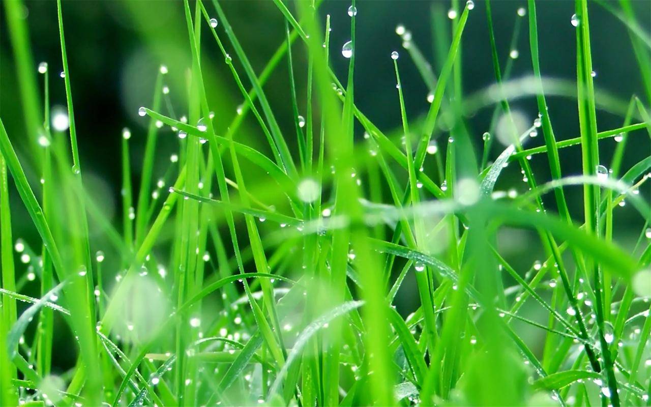 高中蜂背苹果版
:吉林化工学院成考本科怎么报考