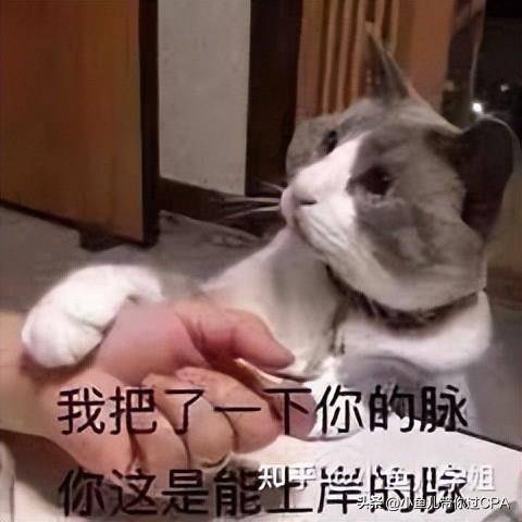 税法背诵软件下载苹果版:超全！为你量身定制的CPA科目搭配方案来啦！