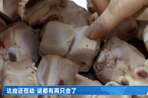 烹饪场餐厅苹果版:有虫子爬的肉却仍煮下锅！福州一学校学生频频拉肚子，都是因为食堂的“骚操作”！