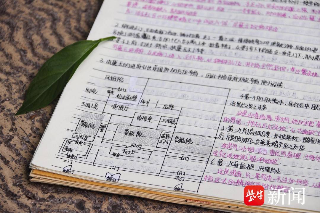 女生版 小苹果:女生6周完成65页《红楼梦》图文版读书笔记，教授忍不住赞叹：她是真爱呀