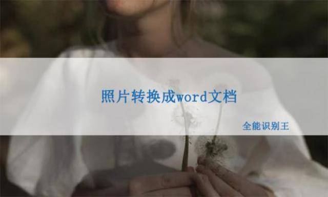苹果word 文档手机版:手机照片怎么快速转换成word文档？