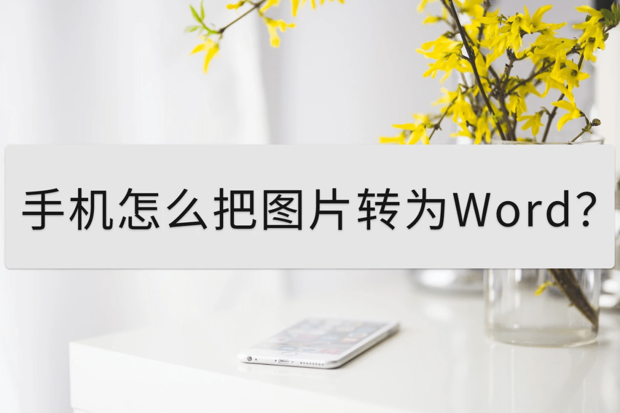 苹果word 文档手机版:手机怎么把图片转为Word？这个方法不能不知道