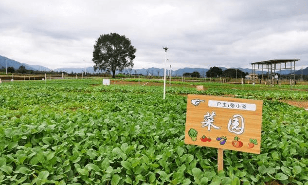 手机qq农场:把自家的农场搬到微信小程序上面，实现共享菜园。