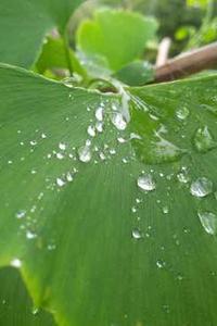 苹果6日版do版怎样