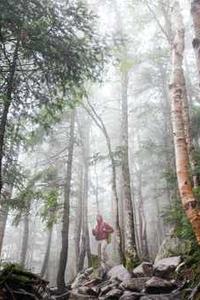 小草苹果版安装图解