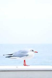 怎样免费隐藏软件苹果版