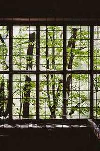 钢琴版小苹果中文