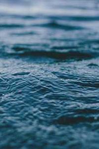 《苹果》海外版下载