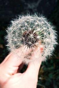 我的世界手机版信标怎么做