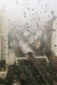 啵乐下载苹果版
