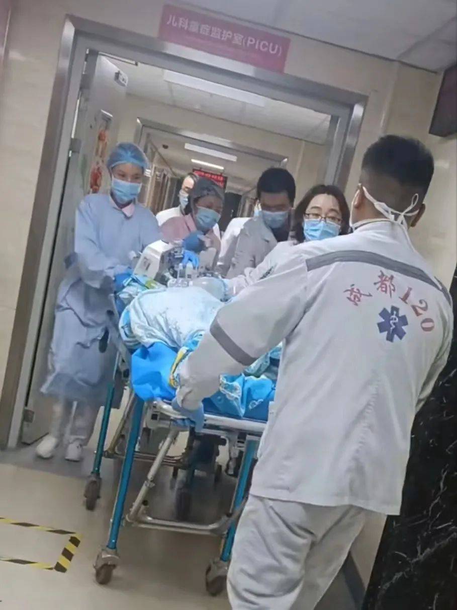 孩子仍昏迷！母亲发声！被撕咬2岁女童最新情况→