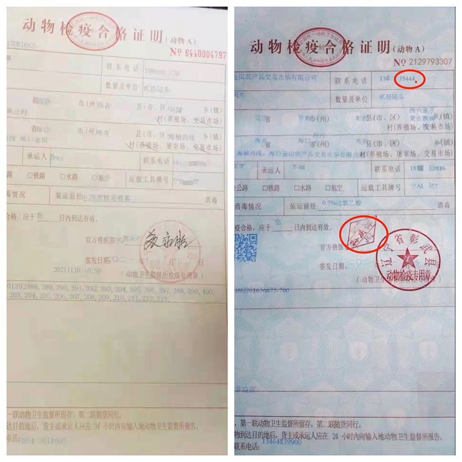 河北省官方兽医出证客户端电脑版河北省智慧兽医出证客户端-第2张图片-太平洋在线下载