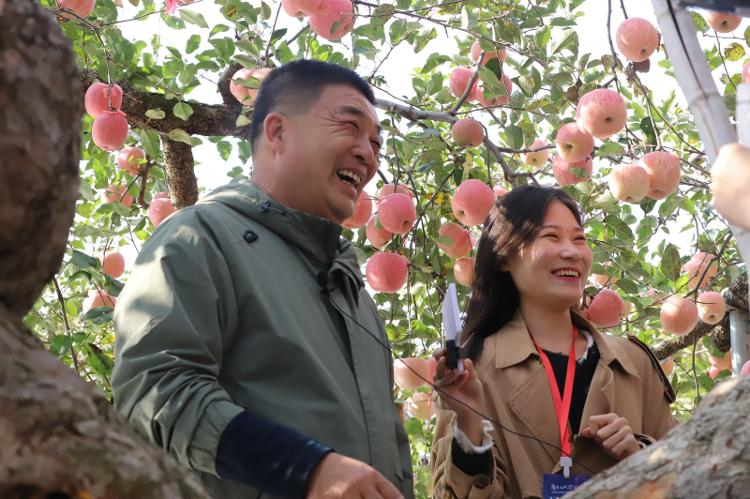 山丹县苹果镇新闻山丹县李桥乡高庙村-第2张图片-太平洋在线下载