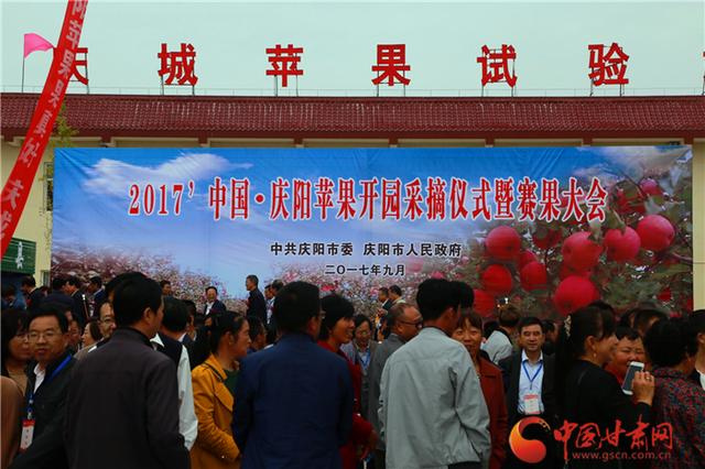 庆阳苹果上央视新闻庆阳苹果排名中国第一