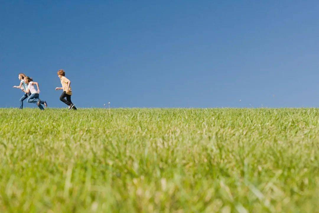 桌面小纸条苹果版苹果免费桌面主题软件-第2张图片-太平洋在线下载