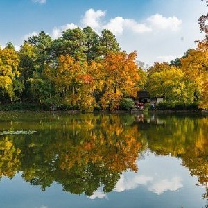 行云天下客户端云游天下官网下载