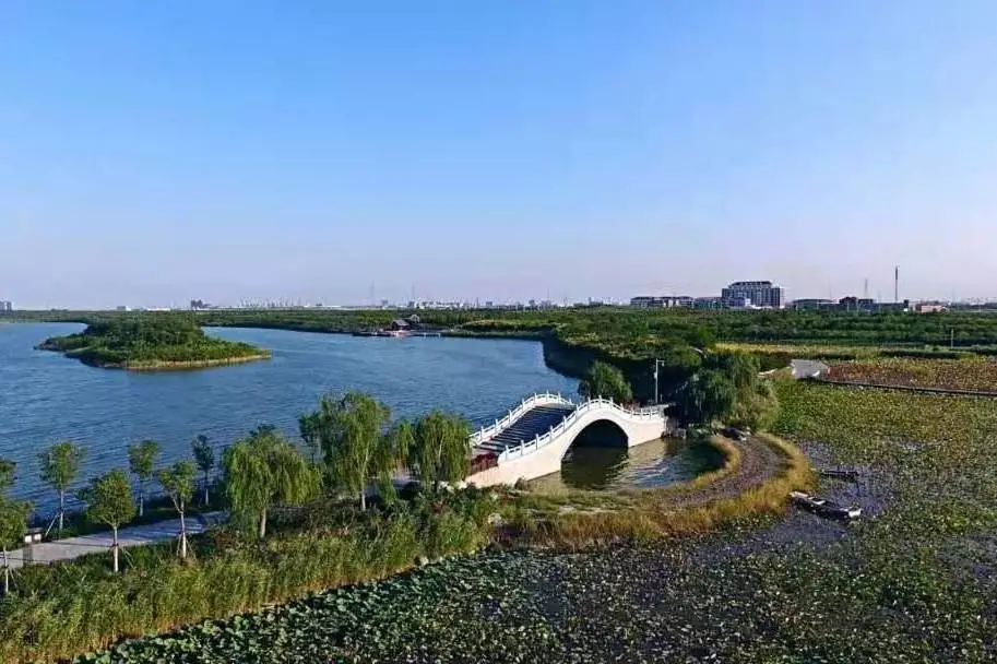 津云客户端宝坻津云客户端电视直播-第2张图片-太平洋在线下载