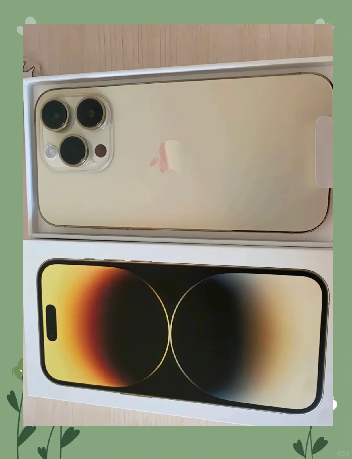 为什么叫澳洲版苹果版呢(澳洲版苹果手机比美版贵吗)-第12张图片-有道翻译官网