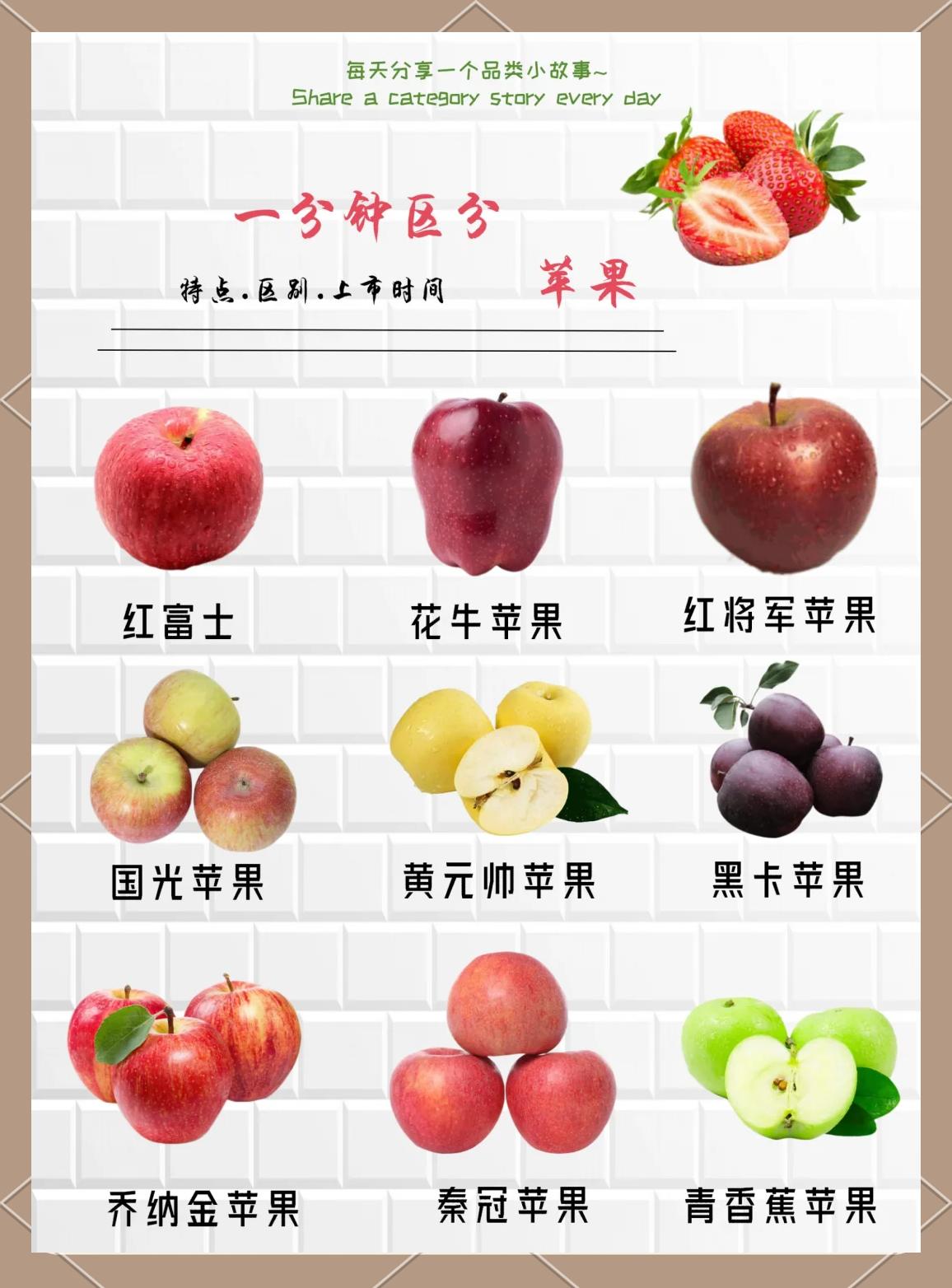 中东版苹果和国版的区别(中东版苹果手机支持什么网络)-第2张图片-有道翻译官网