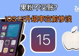 苹果标准版遇冷(iphone太冷了会冻坏吗)-第9张图片-有道翻译官网